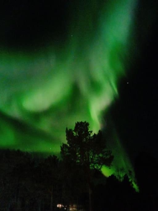 Koselig Og Moderne Leilighet, Meget Sentralt I Narvik Med Gratis Parkering! Luaran gambar