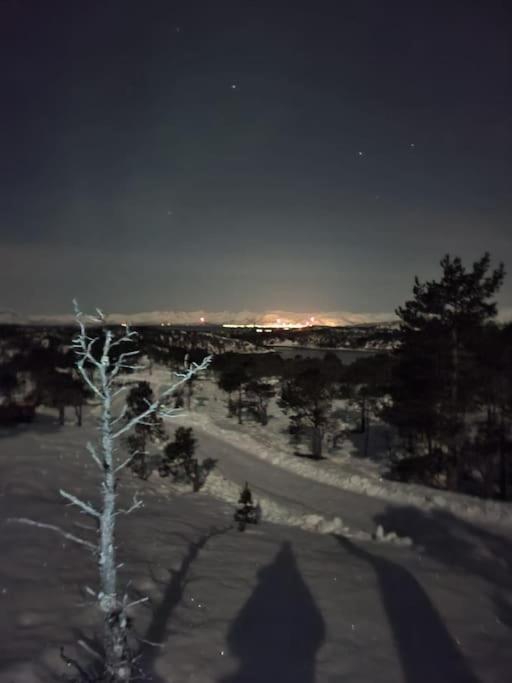 Koselig Og Moderne Leilighet, Meget Sentralt I Narvik Med Gratis Parkering! Luaran gambar