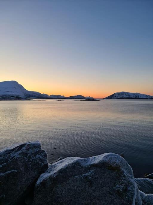 Koselig Og Moderne Leilighet, Meget Sentralt I Narvik Med Gratis Parkering! Luaran gambar