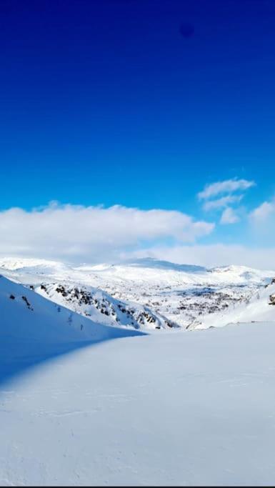 Koselig Og Moderne Leilighet, Meget Sentralt I Narvik Med Gratis Parkering! Luaran gambar