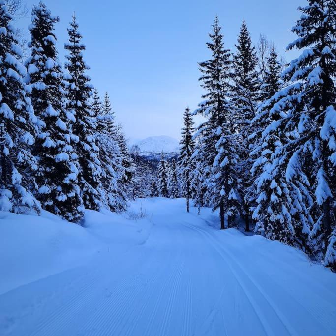 Koselig Og Moderne Leilighet, Meget Sentralt I Narvik Med Gratis Parkering! Luaran gambar